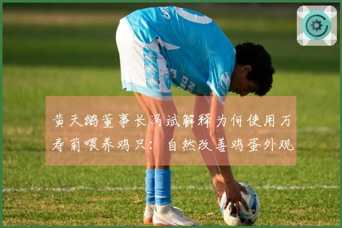 黄天鹅董事长冯斌解释为何使用万寿菊喂养鸡只：自然改善鸡蛋外观